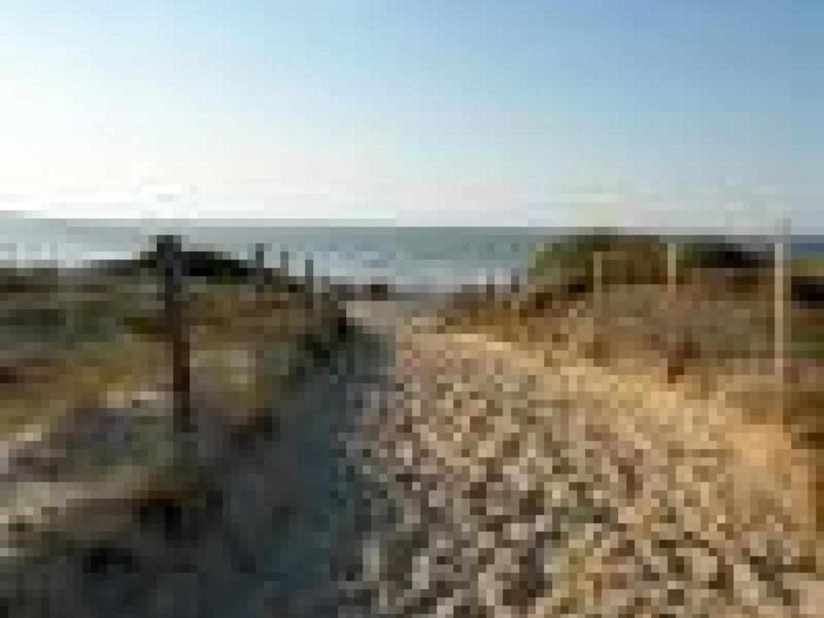 Appartement Cosy A 300M De L'Ocean Au Coeur De La Station - Balcon Et Parking Securise - Fr-1-239-144 Seignosse Exteriör bild