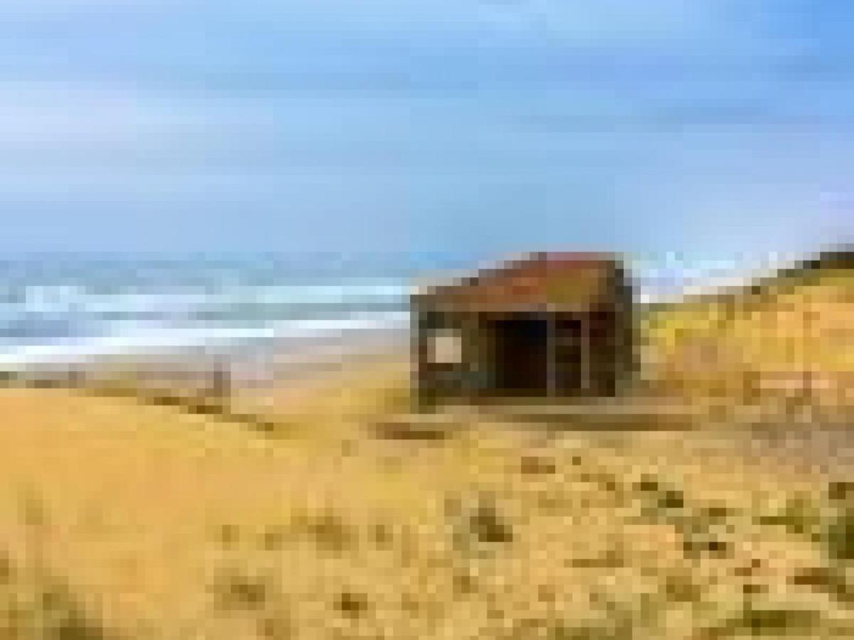 Appartement Cosy A 300M De L'Ocean Au Coeur De La Station - Balcon Et Parking Securise - Fr-1-239-144 Seignosse Exteriör bild